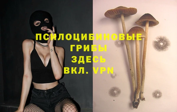 эйфоретик Надым
