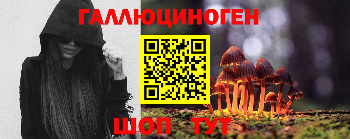Ярославль  Псилоцибиновые грибы прущие грибы  Вход с VPN 