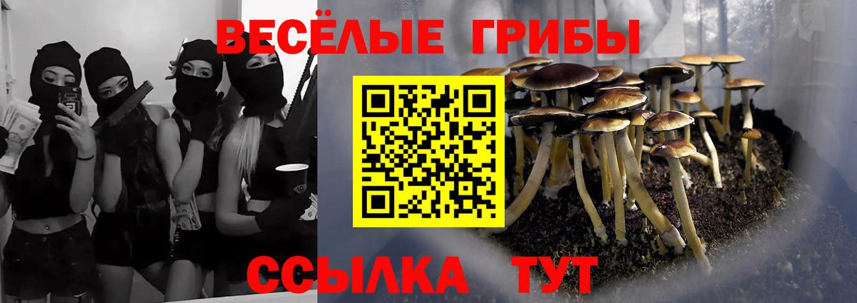 Псилоцибиновые грибы мицелий Ярославль